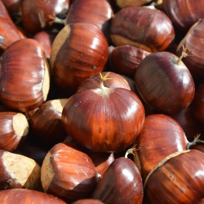 Castagne Marrone di Serino IGP in sacchetto da 1 Kg
